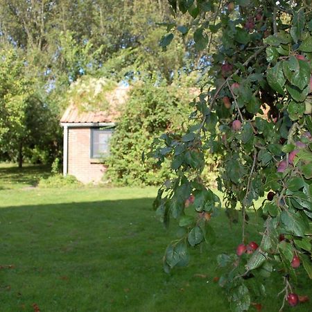 Vita Nova Hippolytushoef Eksteriør billede